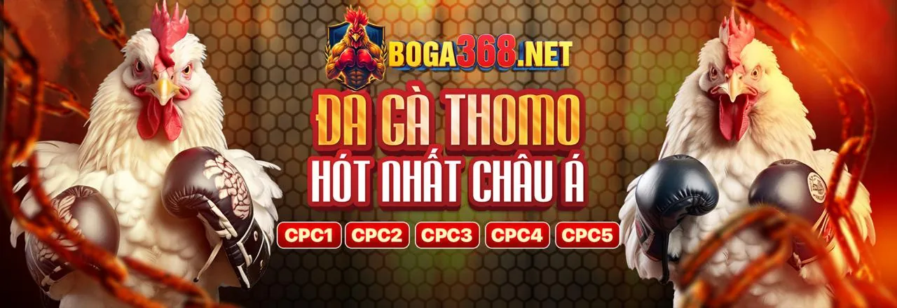 Đá gà trực tuyến kịch tính tại dola789 chính thức